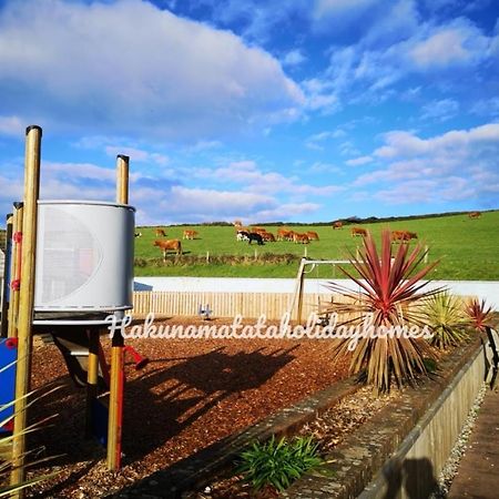 Hakuna Matata Holiday Home Newquay  Luaran gambar